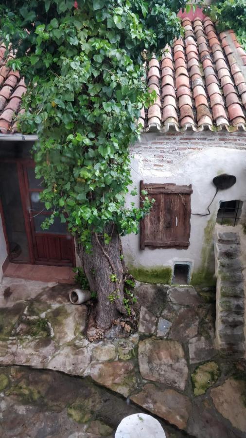 Airam Home Aragon, 7 Almansa Extérieur photo
